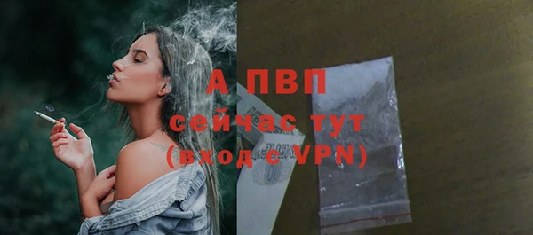 амф Арсеньев