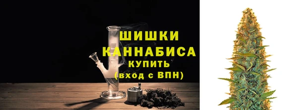 амф Арсеньев