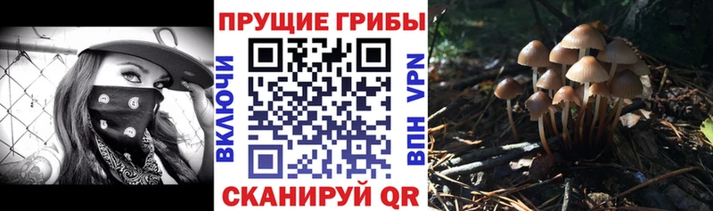 Псилоцибиновые грибы GOLDEN TEACHER  ОМГ ОМГ зеркало  Рыбинск  даркнет сайт 